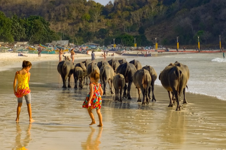 A Season in Bali
