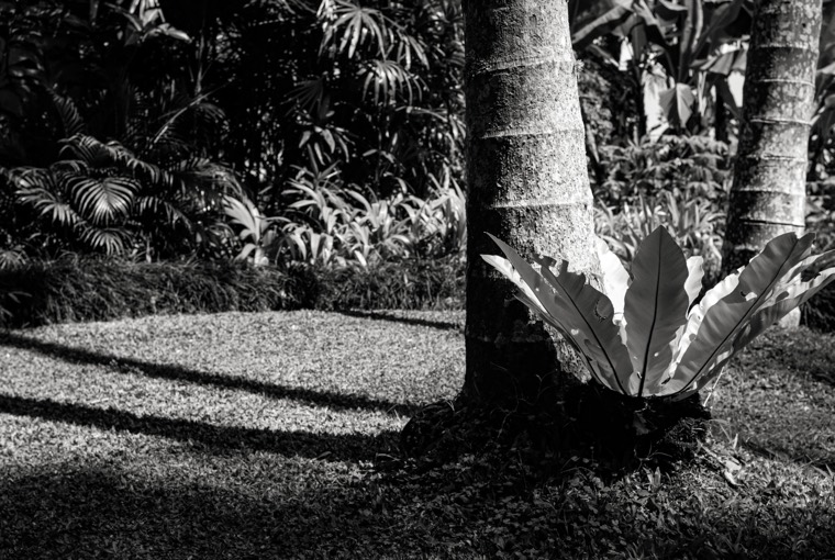 A Season in Bali