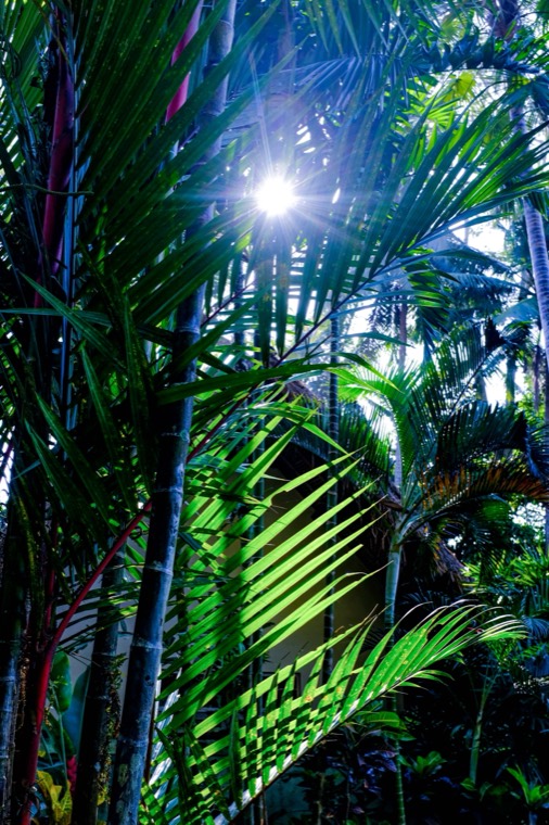 A Season in Bali