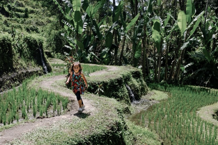 A Season in Bali