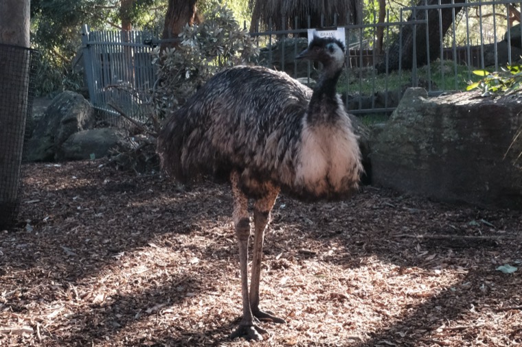 Australia 2019