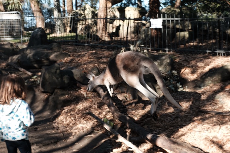 Australia 2019