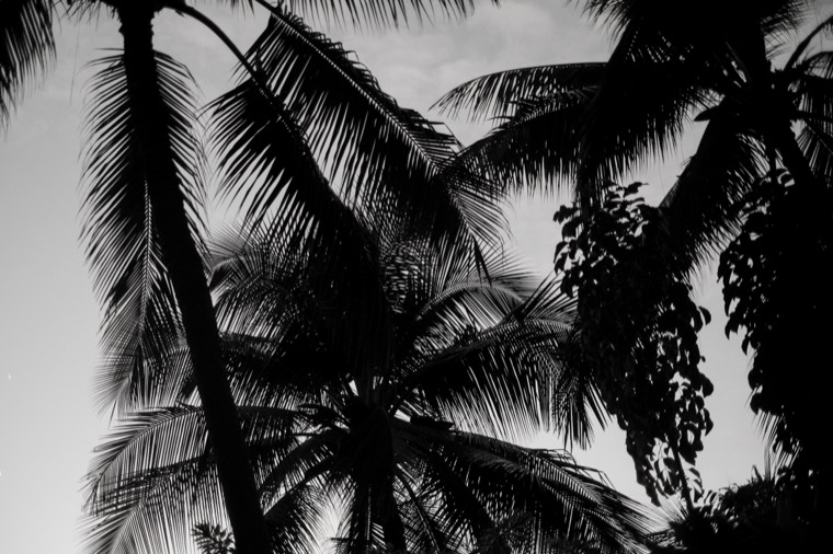 Big Island, Hawaii 2023