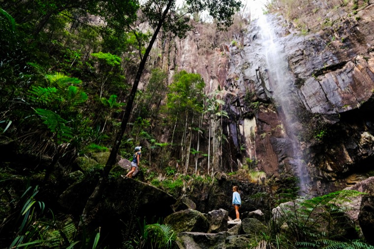 Byron Bay Rainforest