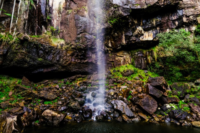 Byron Bay Rainforest