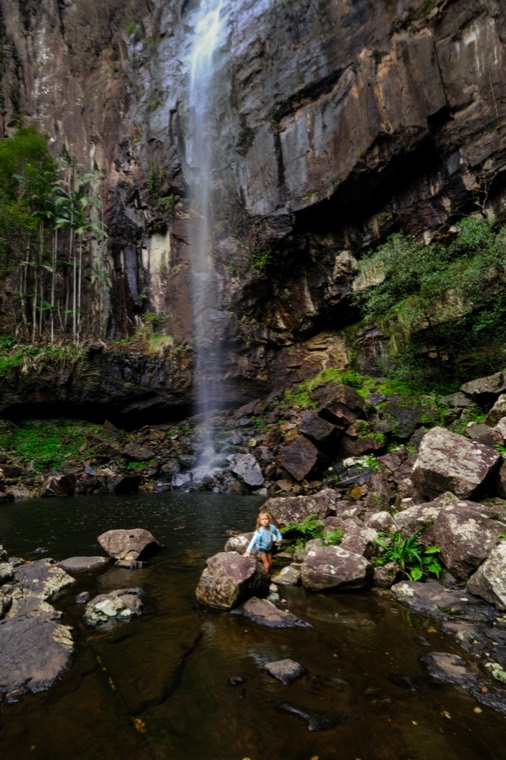 Byron Bay Rainforest
