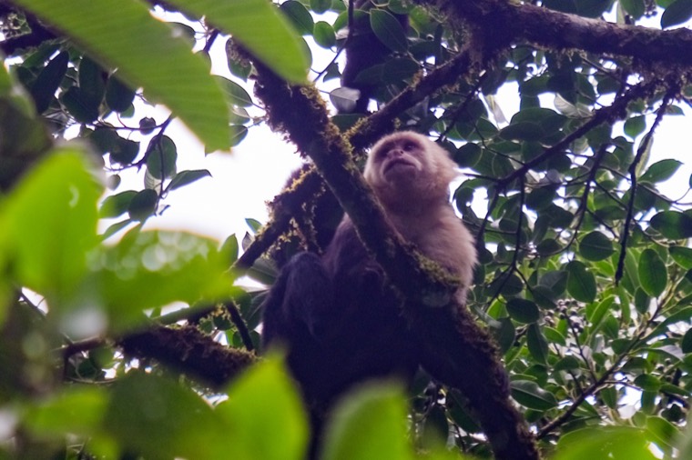 Costa Rica 2024