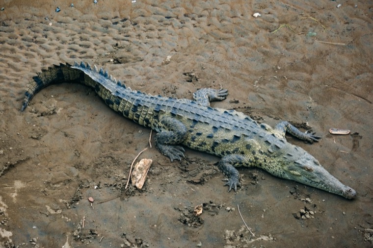 Costa Rica 2024