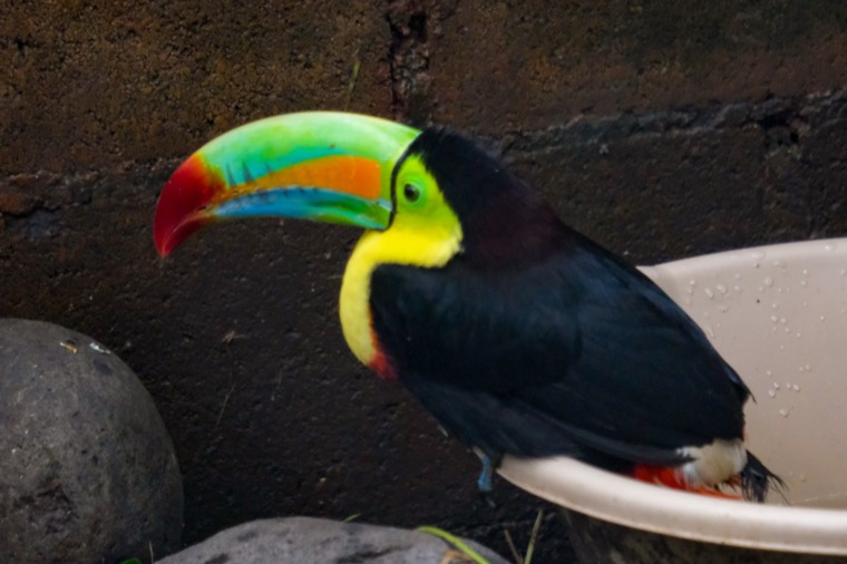 Costa Rica 2024