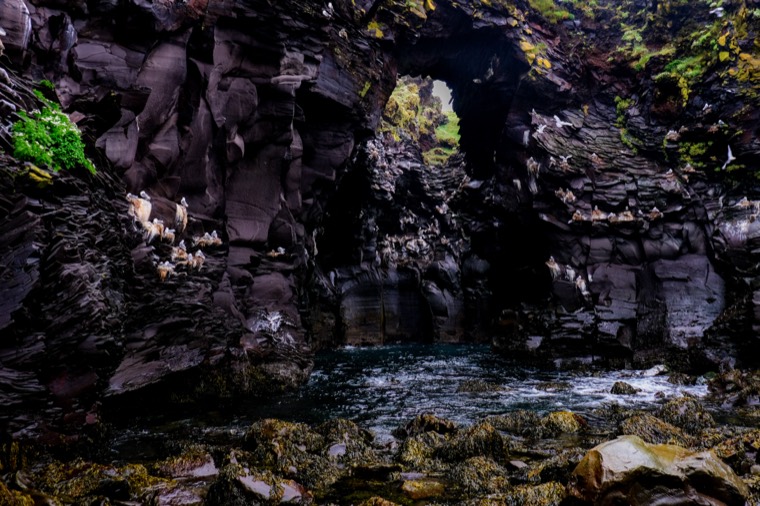 Iceland