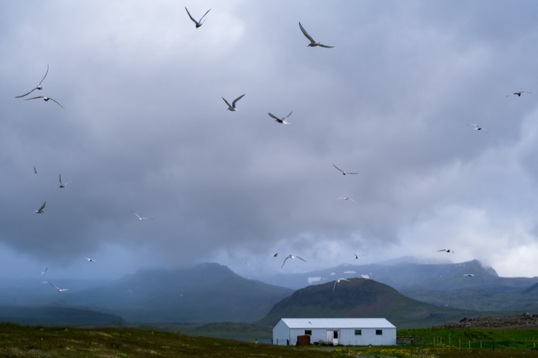 Iceland