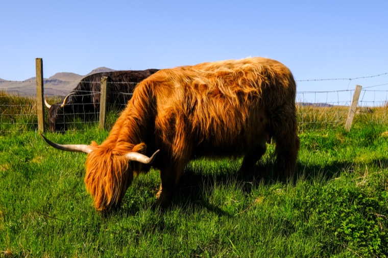 Isle of Skye, Scotland 2025