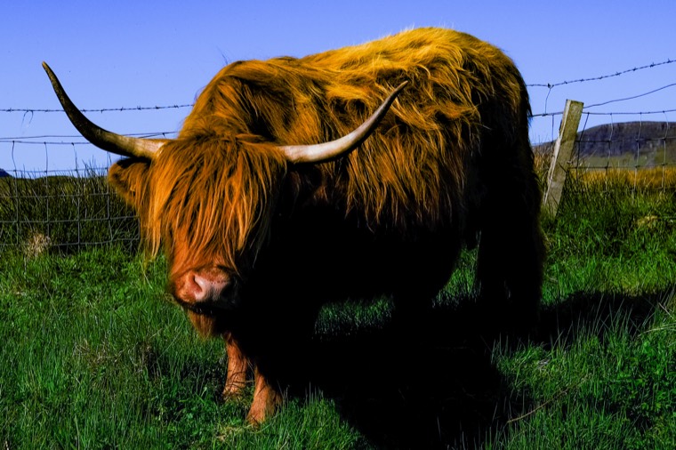 Isle of Skye, Scotland 2025