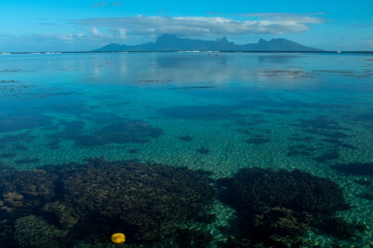 Tahiti, Mo'orea, Huahine 2019