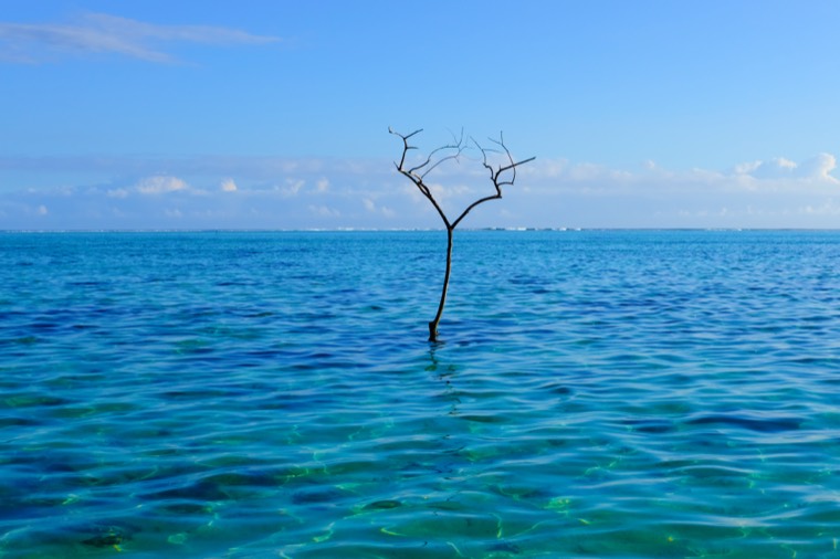 Tahiti, Mo'orea, Huahine 2019