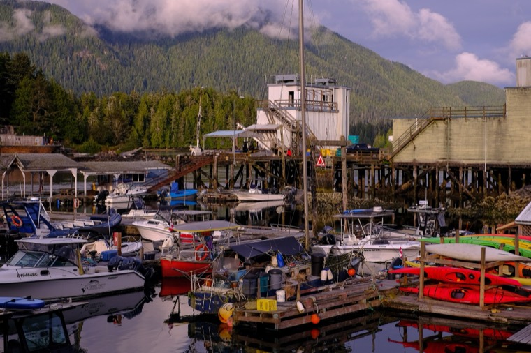 Tofino 2022