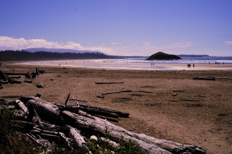 Tofino 2022