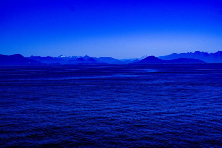 Tofino 2022