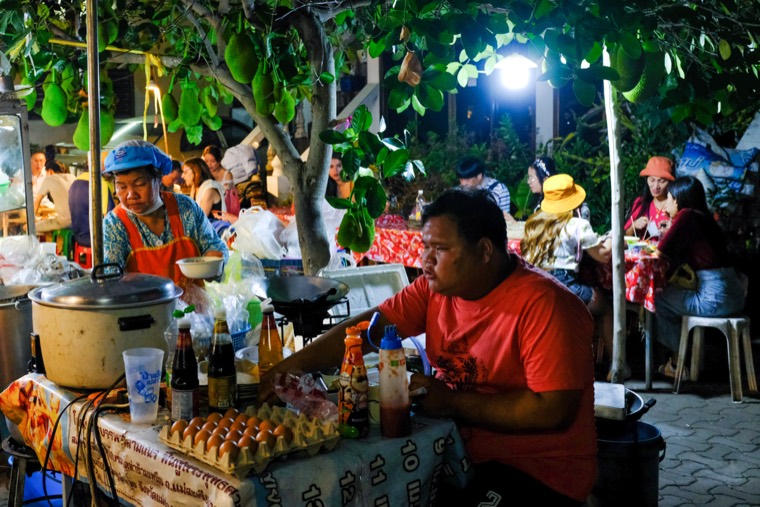 Wanderings in SE Asia