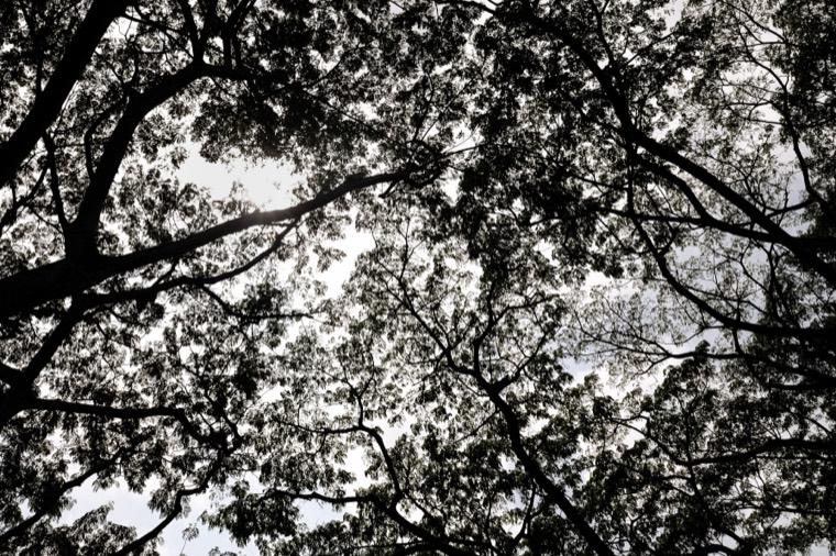 Wanderings in SE Asia