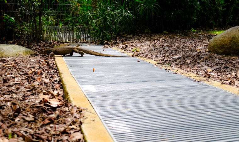 Wanderings in SE Asia