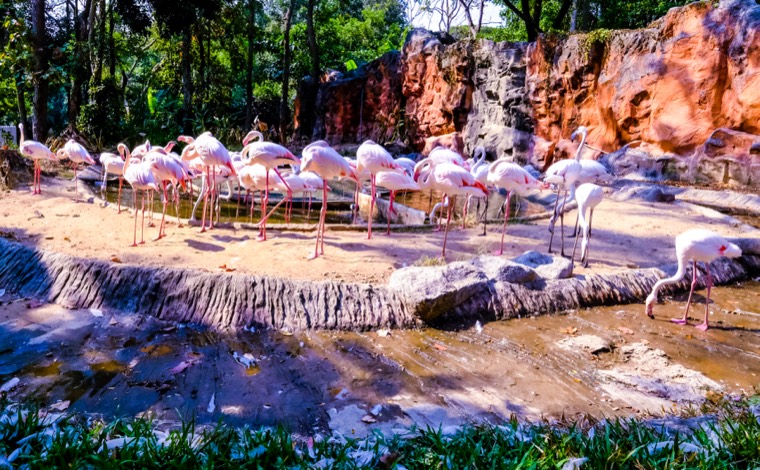 Wanderings in SE Asia