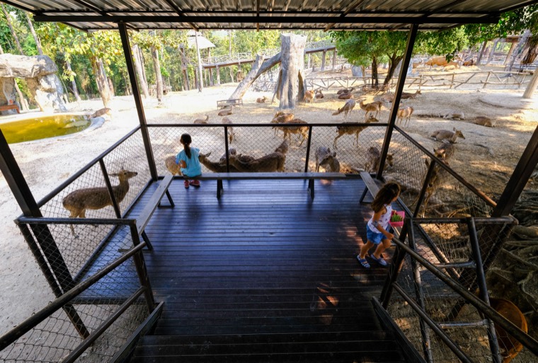 Wanderings in SE Asia