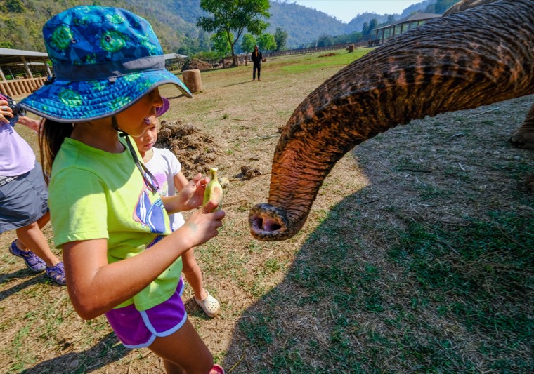 Wanderings in SE Asia