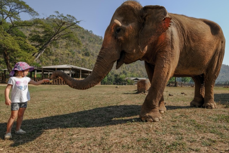 Wanderings in SE Asia