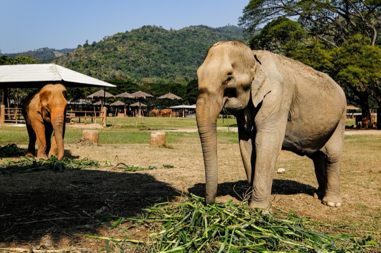 Wanderings in SE Asia