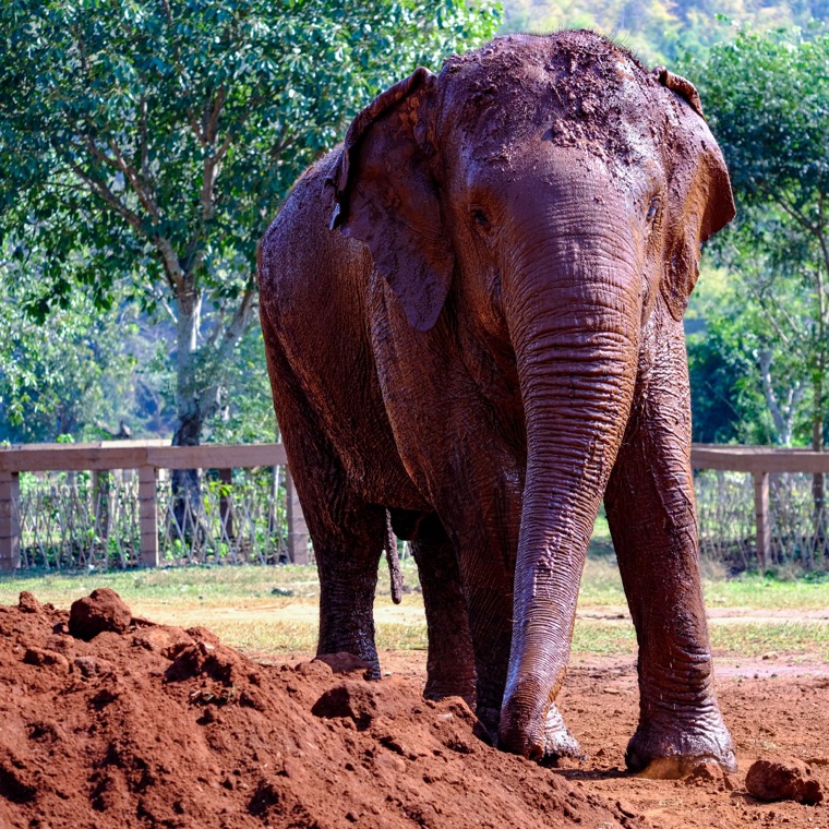 Wanderings in SE Asia
