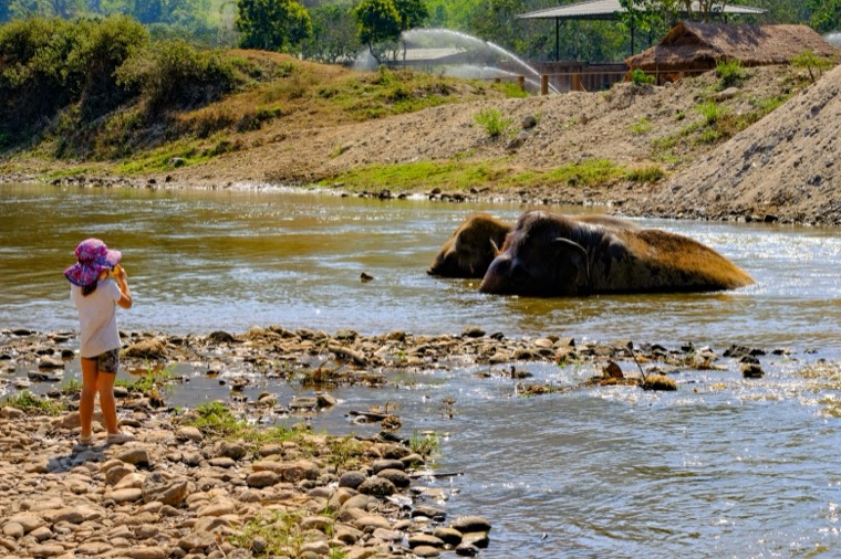 Wanderings in SE Asia
