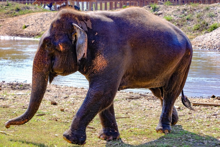 Wanderings in SE Asia