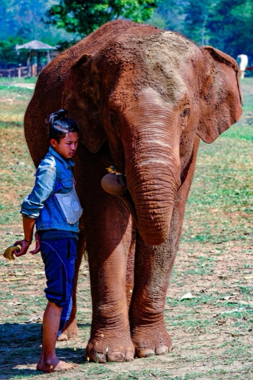Wanderings in SE Asia