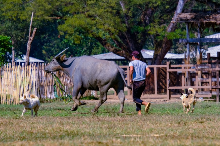 Wanderings in SE Asia