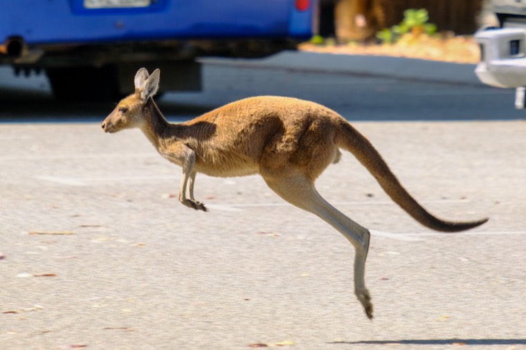 Western Australia