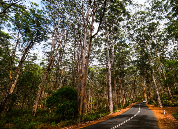 Western Australia