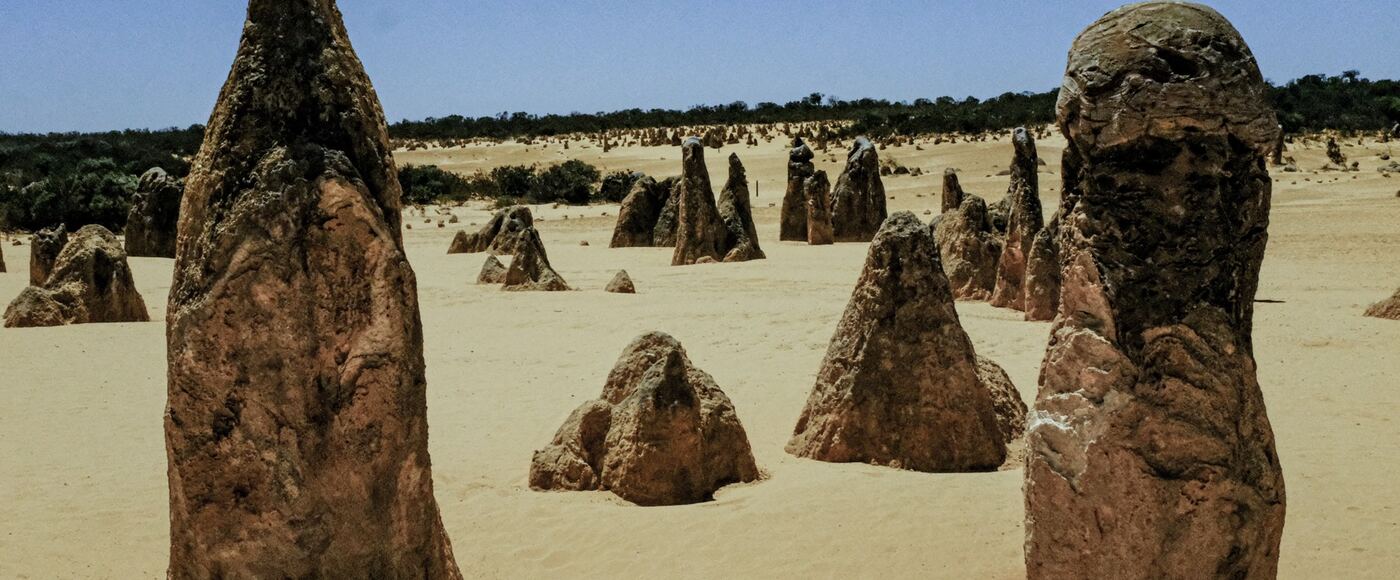 Limestone pinnacles standing in pale desert sand, Nambung National Park, Western Australia